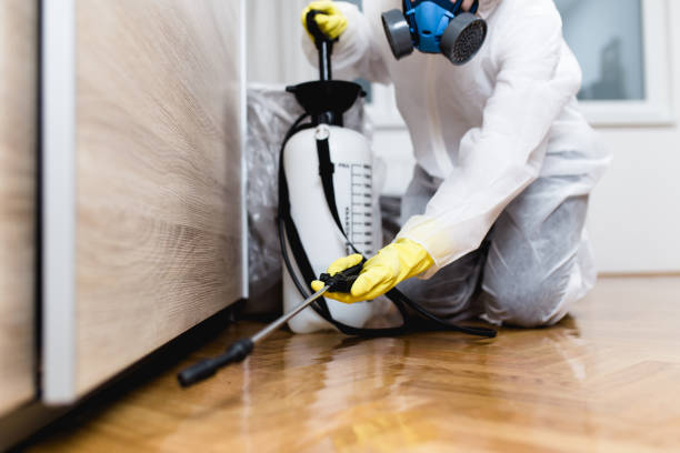 Best Pest Inspection Near Me  in Rosemont, IL