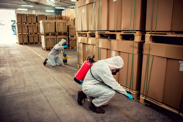 Best Ant Control Services  in Rosemont, IL