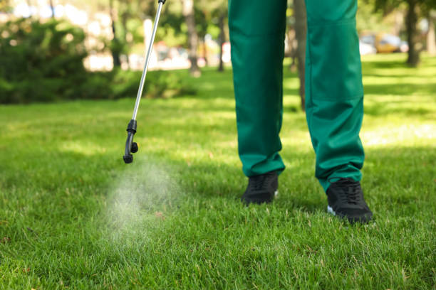Best Bed Bug Extermination  in Rosemont, IL