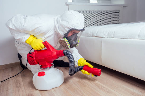 Best Affordable Exterminators  in Rosemont, IL