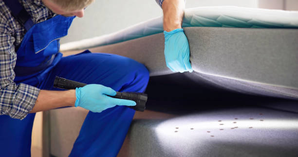 Best Pest Prevention Services  in Rosemont, IL