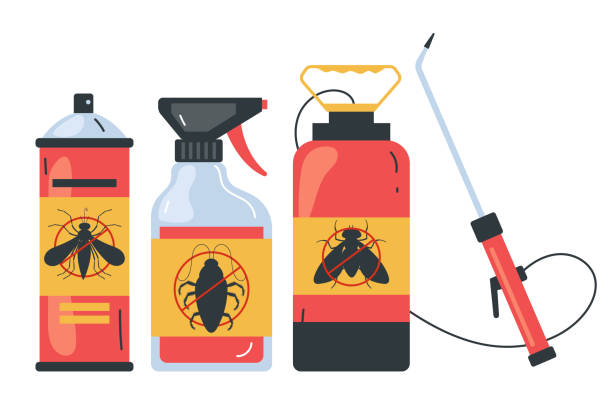 Best Termite Control Services  in Rosemont, IL
