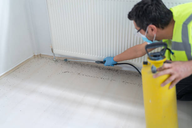 Best Pest Removal Services  in Rosemont, IL