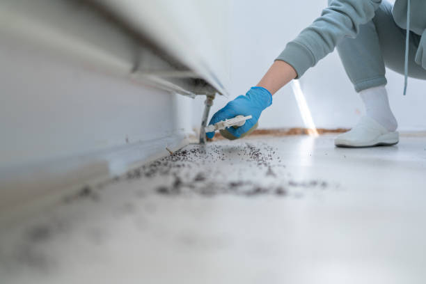 Best Commercial Pest Control Services  in Rosemont, IL